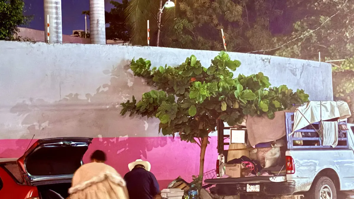 turistas-avenida-universidad- 