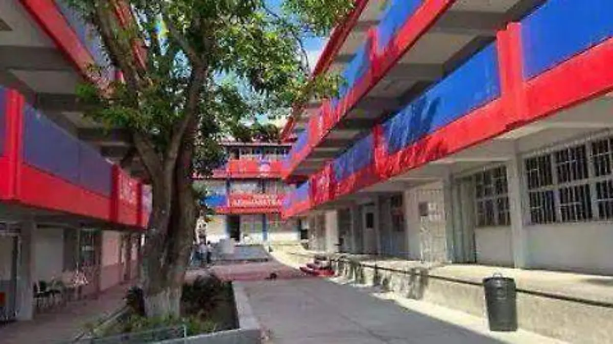 IMG-20260103-WA0055(1)