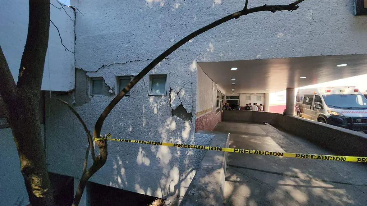 WhatsApp Image 2026-01-04 at 12.30.02 PM