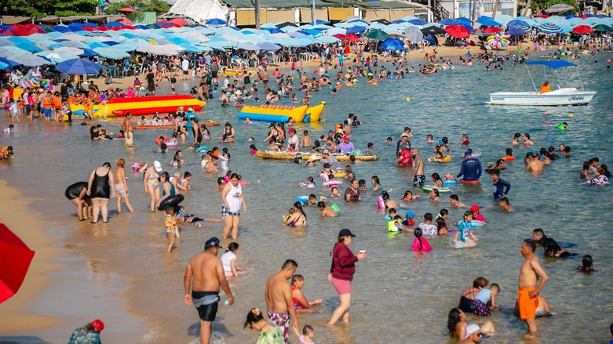 d3588276-a07d-4c8d-93e4-e5503a869c81