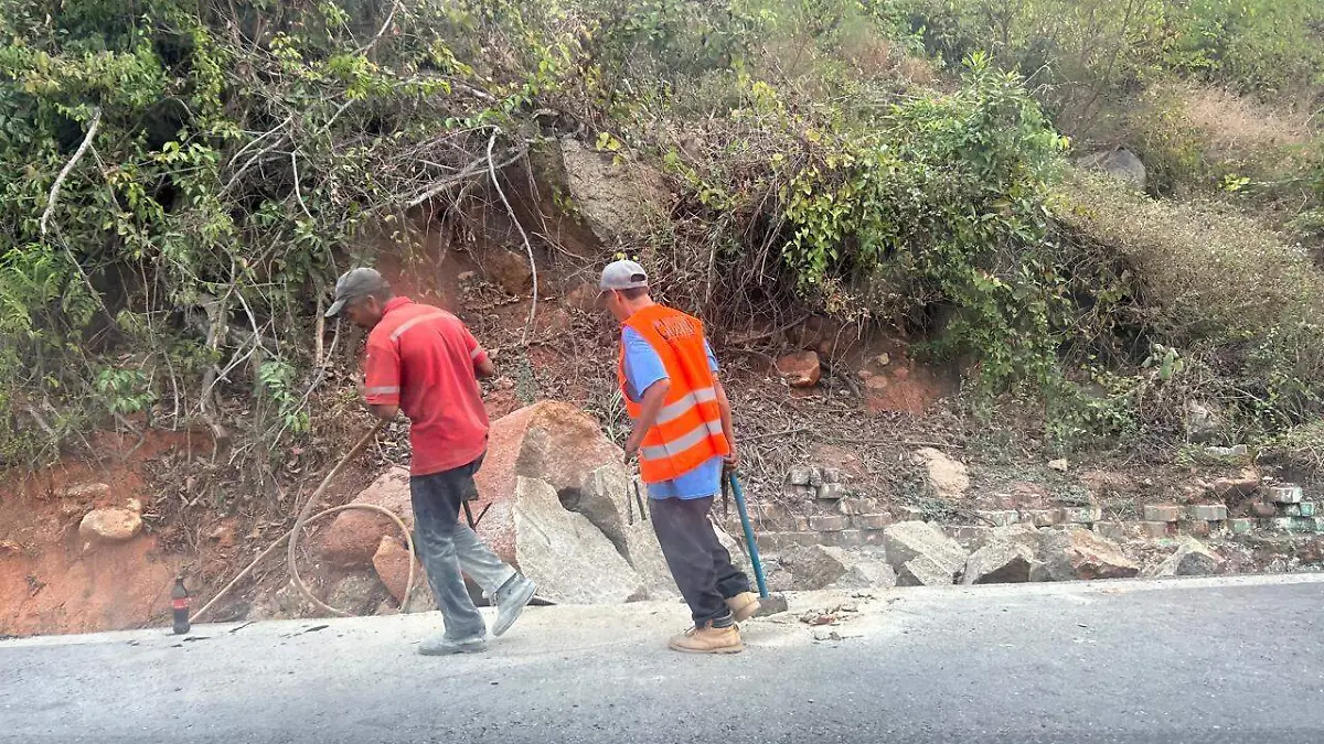 cd298009-4b2a-41dc-a7c7-203313eec7d9