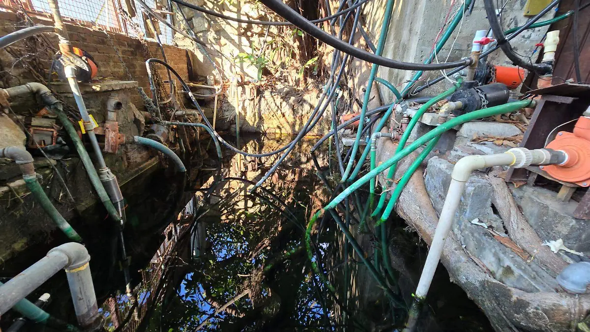 WhatsApp Image 2026-01-08 at 2.36.54 PM