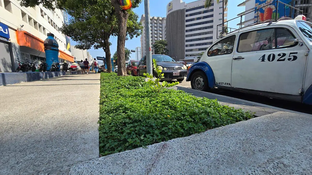 WhatsApp Image 2026-01-10 at 2.21.34 PM