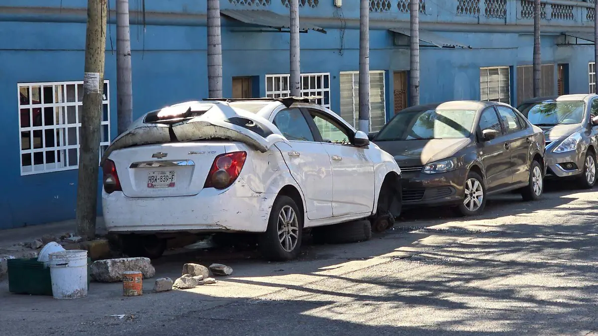 WhatsApp Image 2026-01-12 at 2.37.32 PM