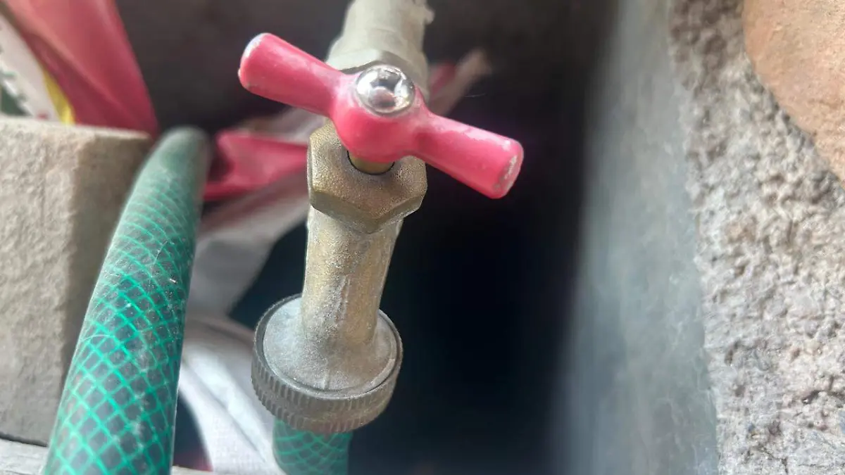 WhatsApp Image 2026-01-17 at 11.36.54 AM (1)