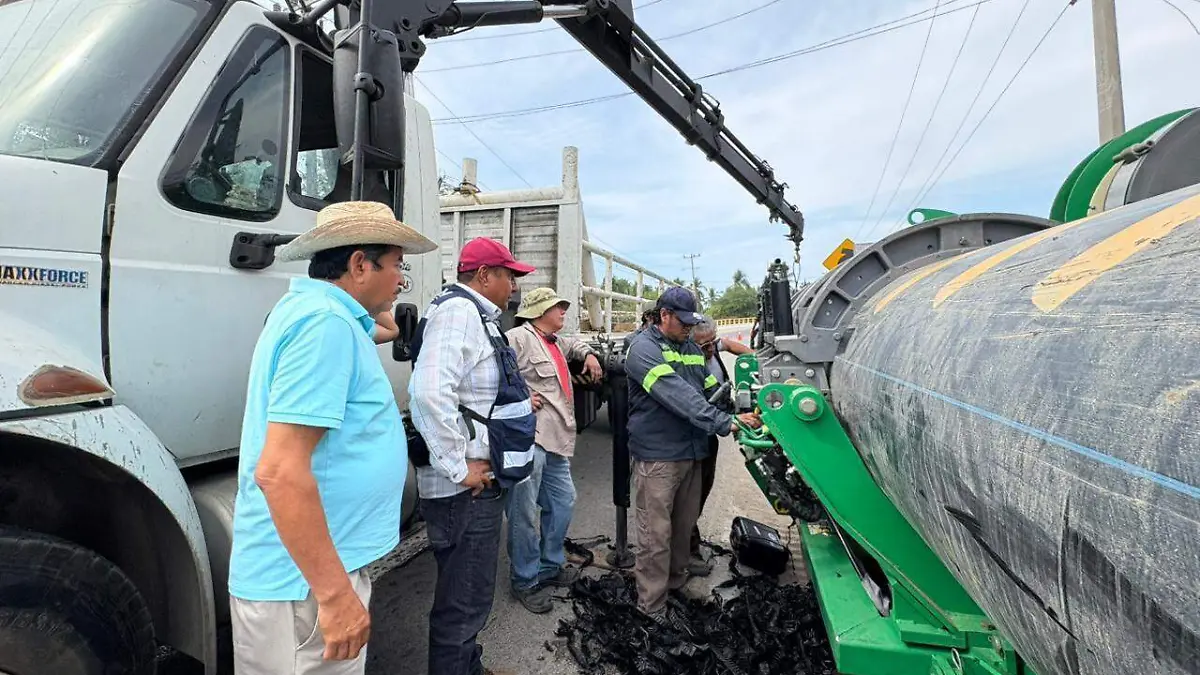 WhatsApp Image 2026-01-17 at 12.50.54 PM