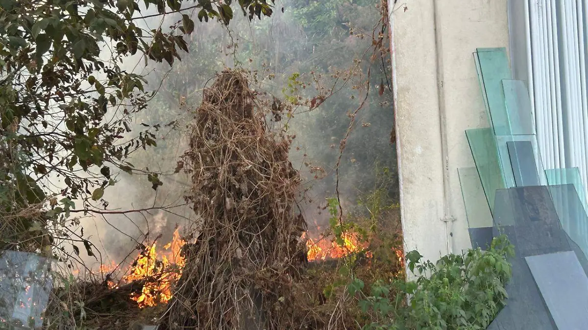 WhatsApp Image 2026-01-17 at 1.34.35 PM