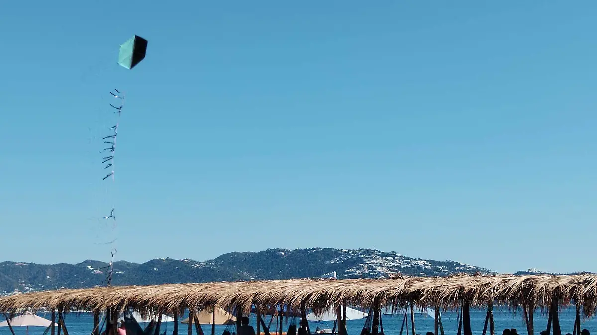 WhatsApp Image 2026-01-18 at 3.49.32 PM