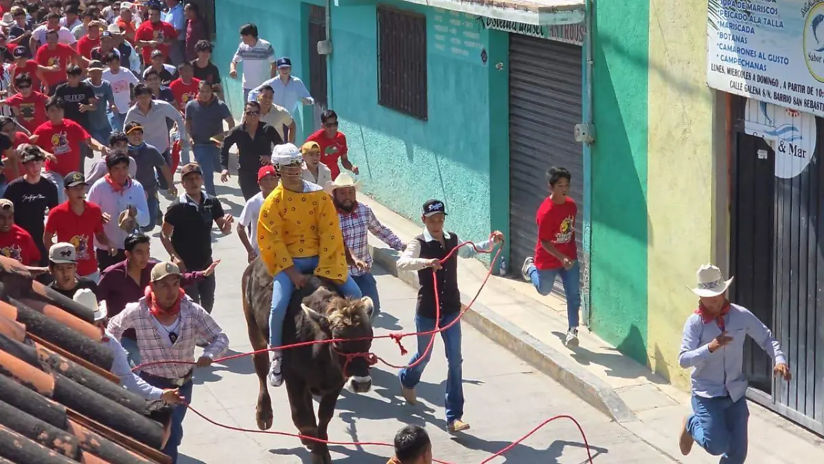 WhatsApp Image 2026-01-19 at 10.52.30 AM