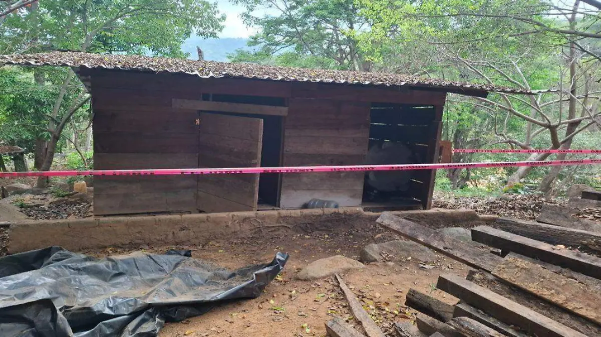 Laboratorio - Drogas - Gro