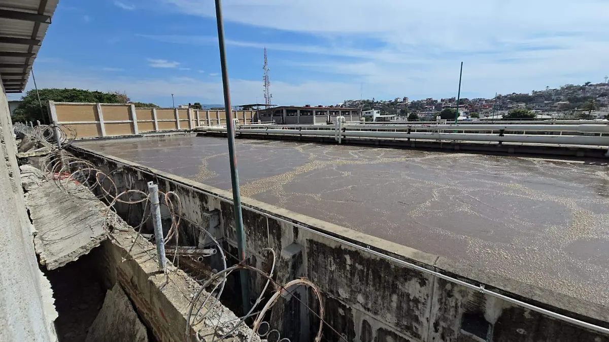 WhatsApp Image 2026-01-20 at 2.22.28 PM