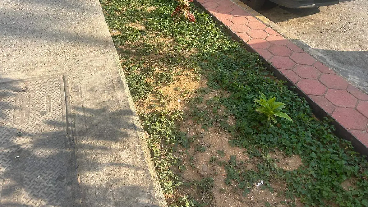 WhatsApp Image 2026-01-21 at 2.30.00 PM