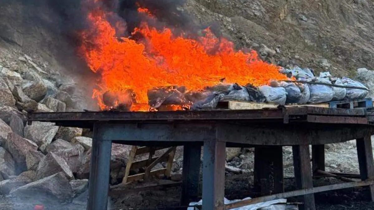 WhatsApp Image 2026-01-23 at 1.34.25 PM