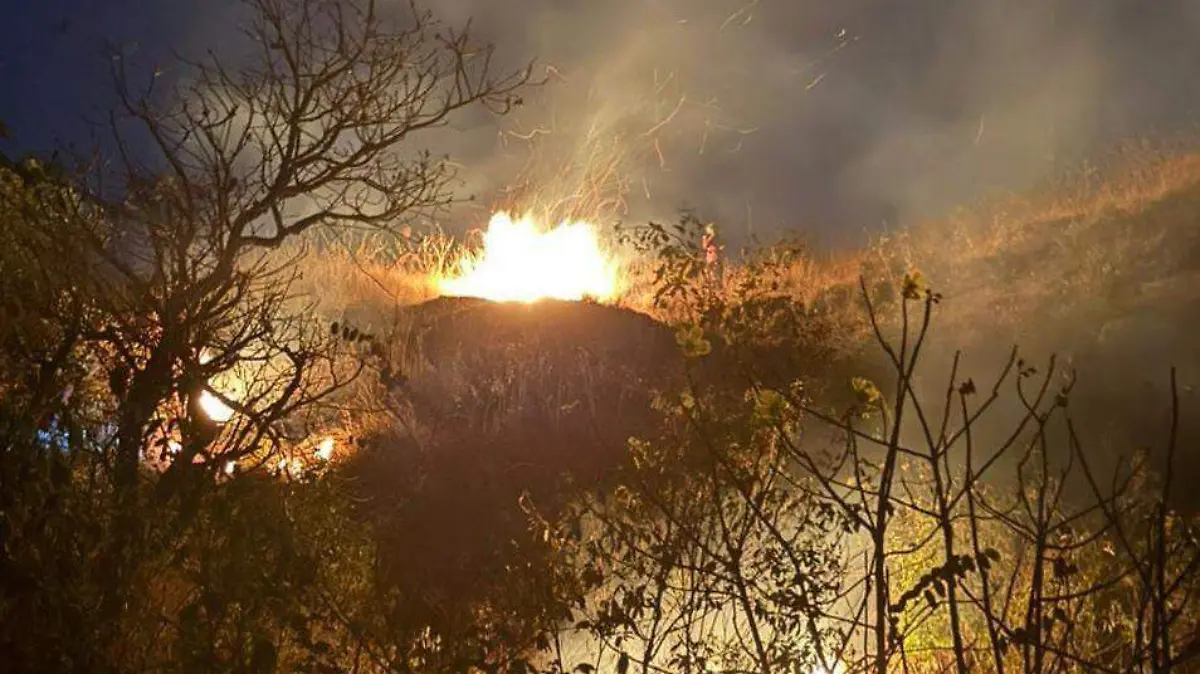 WhatsApp Image 2026-01-24 at 1.28.36 PM