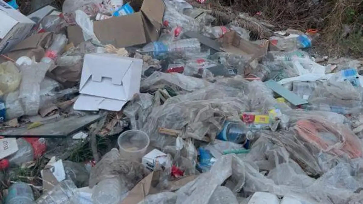 WhatsApp Image 2026-01-27 at 3.09.29 PM