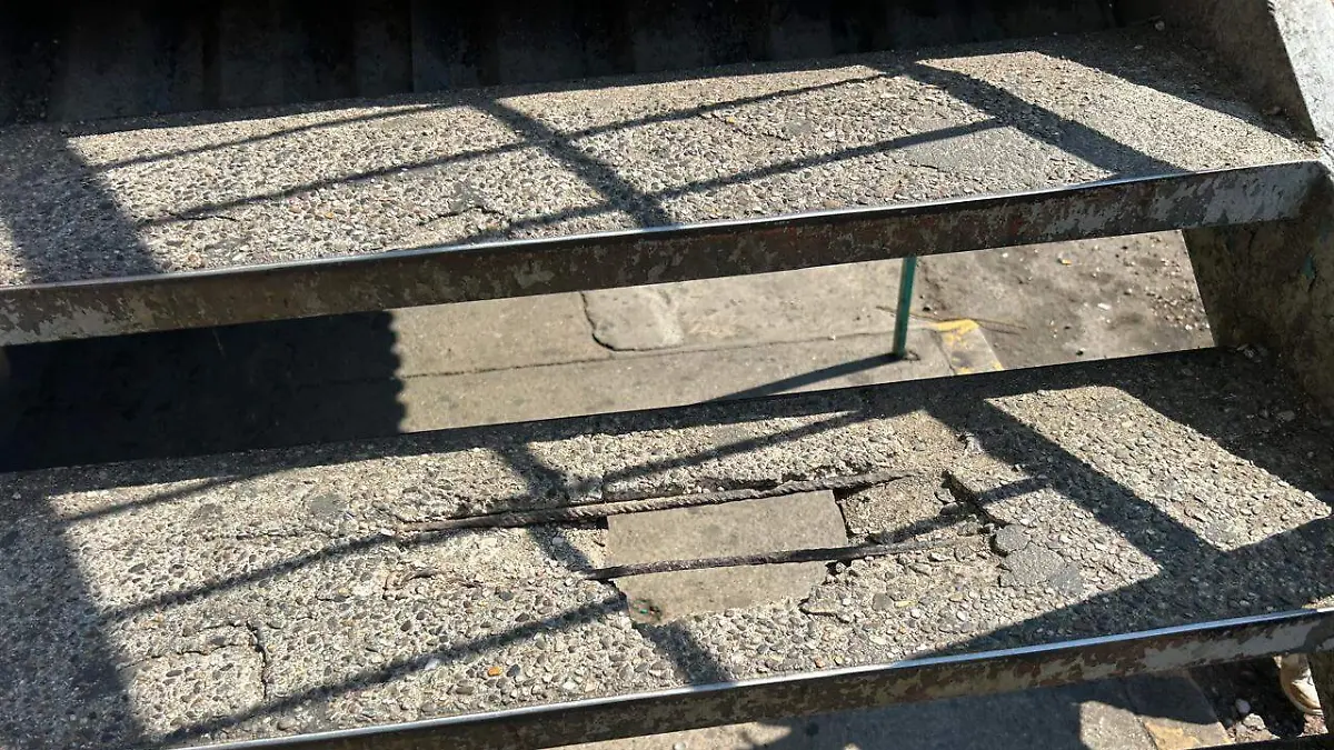 WhatsApp Image 2026-01-28 at 4.42.02 PM