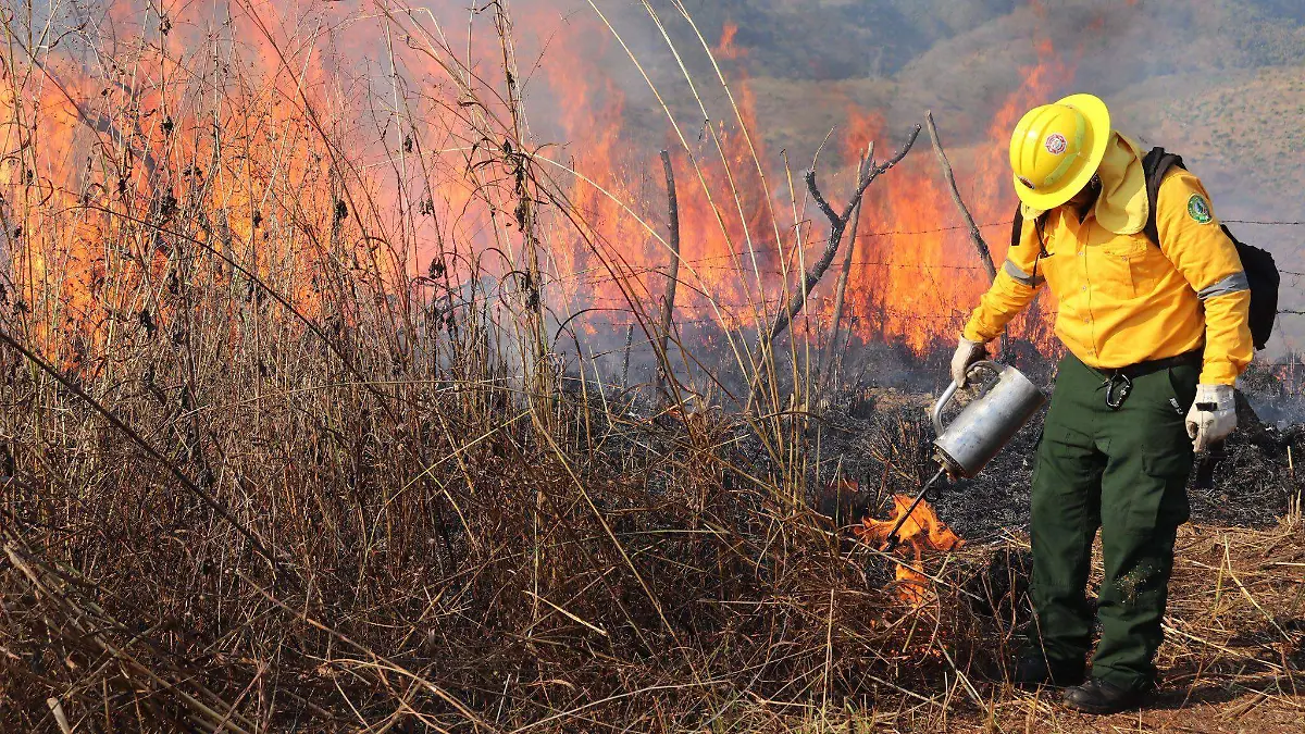 623172769_1368461755326386_7357846504527358916_n