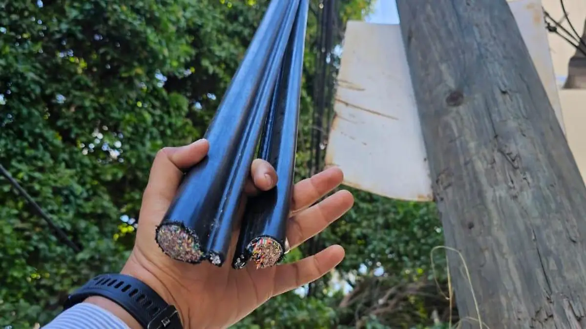 WhatsApp Image 2026-01-29 at 12.48.30 PM (1)