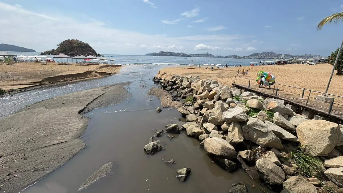 IMG-20260201-WA0044(2)