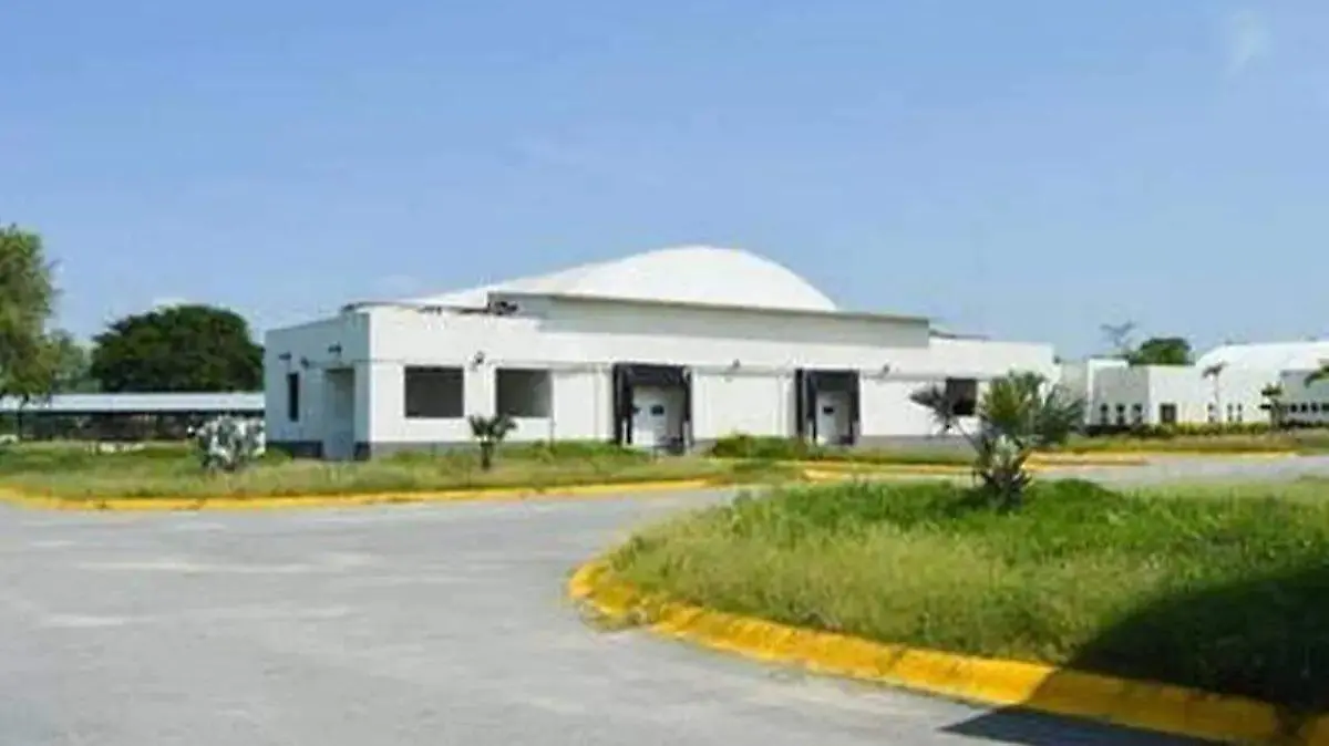 WhatsApp Image 2026-02-02 at 12.27.10 PM (1)