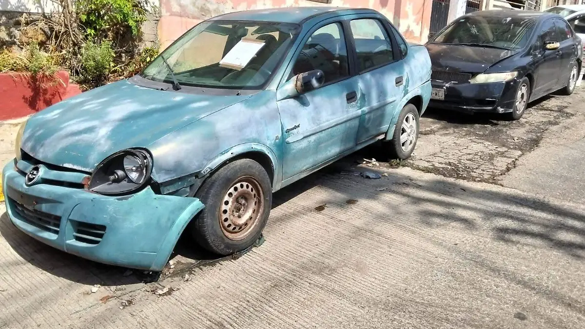 WhatsApp Image 2026-02-04 at 1.25.19 PM