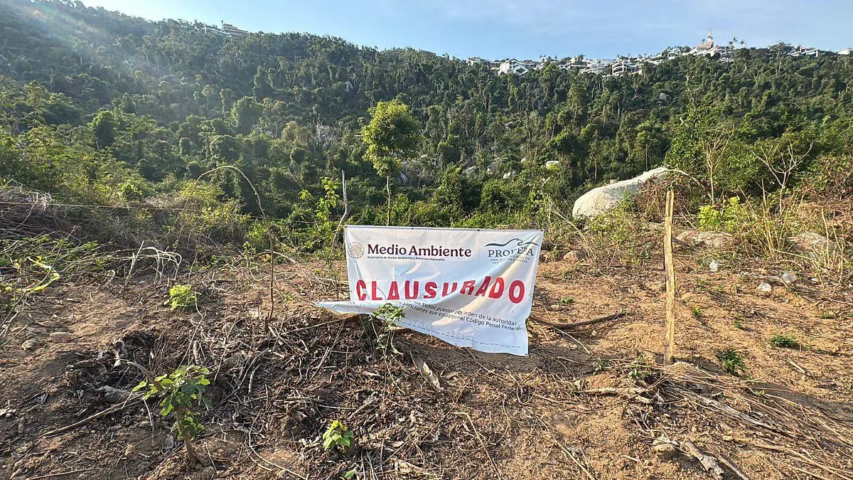 8a832ac3-5fd1-41db-8e52-930b10b9f8c5