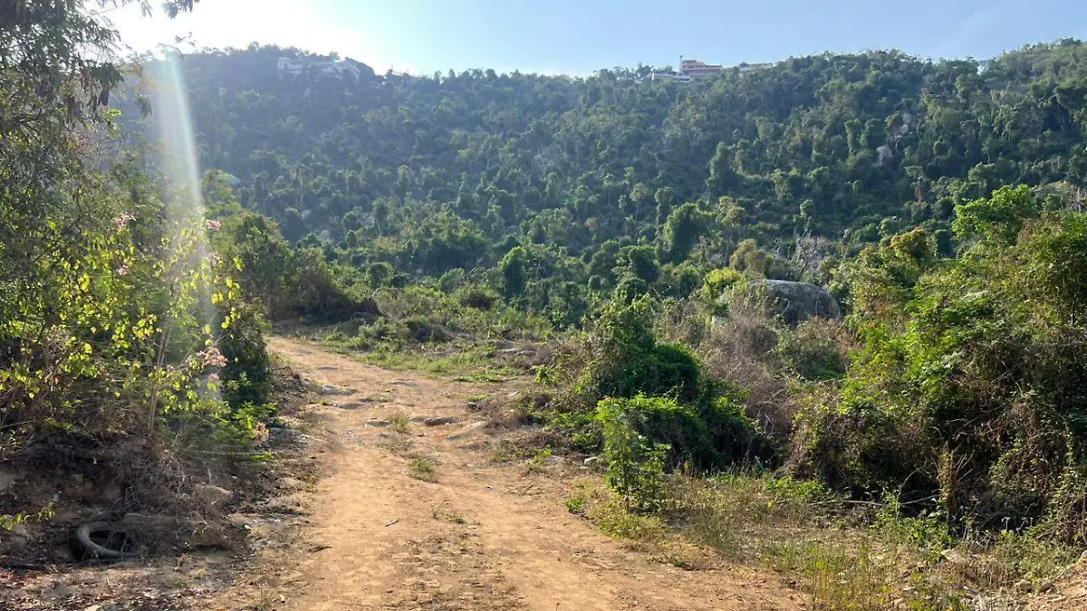 WhatsApp Image 2026-02-06 at 11.23.03 AM