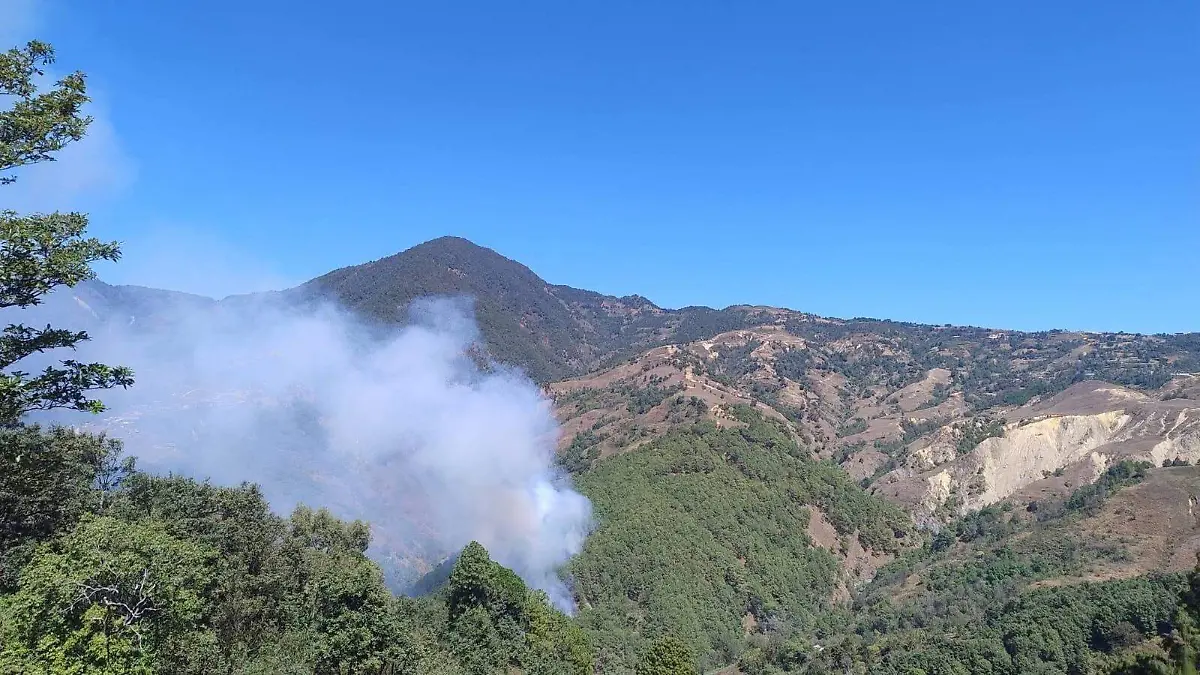 WhatsApp Image 2026-02-09 at 5.50.59 PM