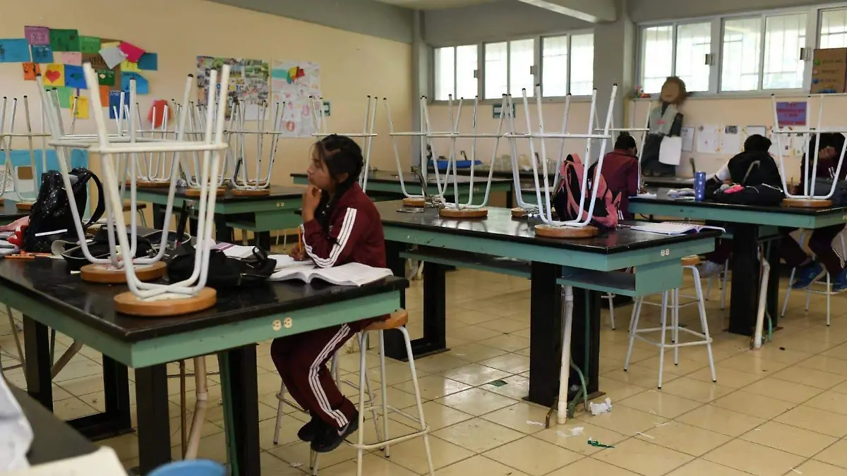 WhatsApp Image 2026-02-11 at 8.42.13 AM (1)