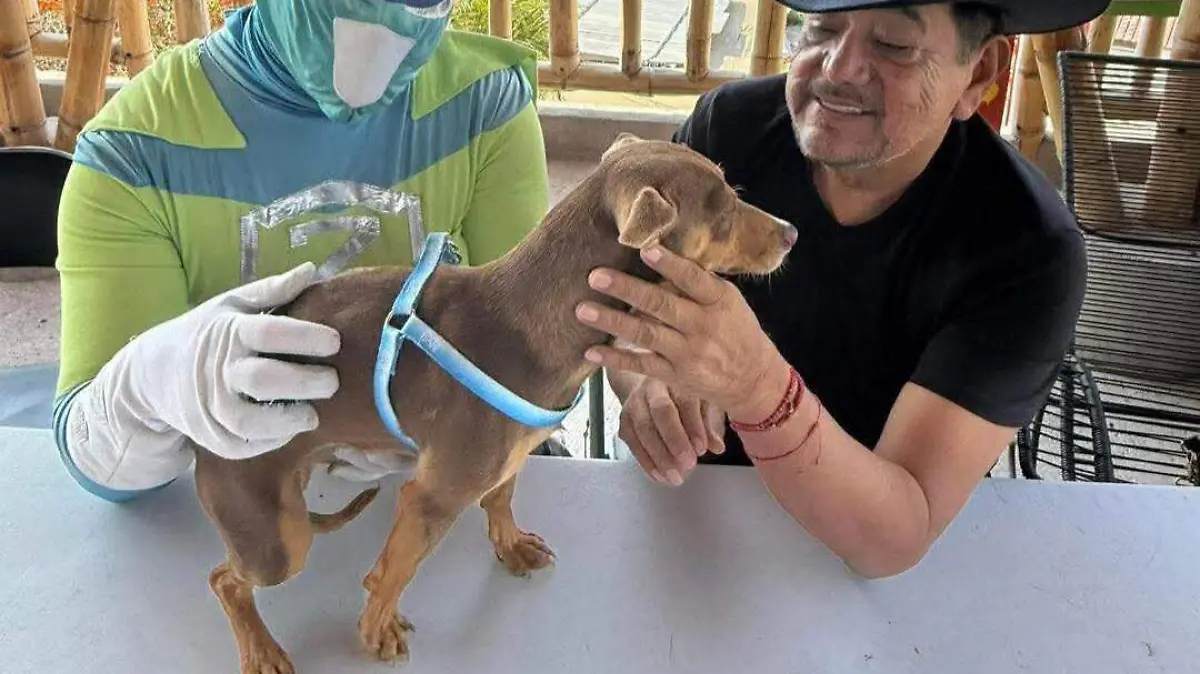 FB_IMG_1771019234661