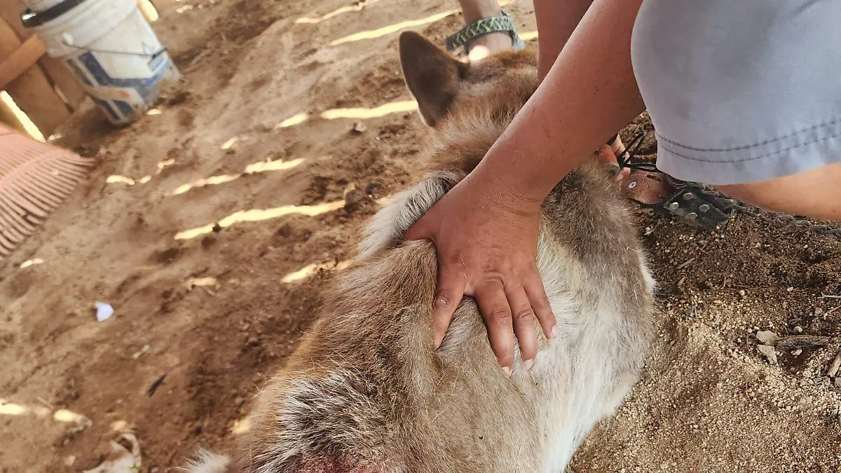 017ae3f9-efb4-4789-9bfa-9d6ebe823fb3