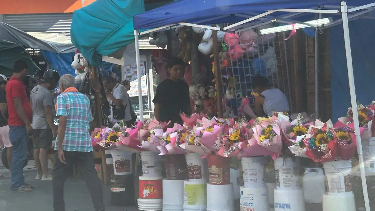 WhatsApp Image 2026-02-14 at 1.33.01 PM