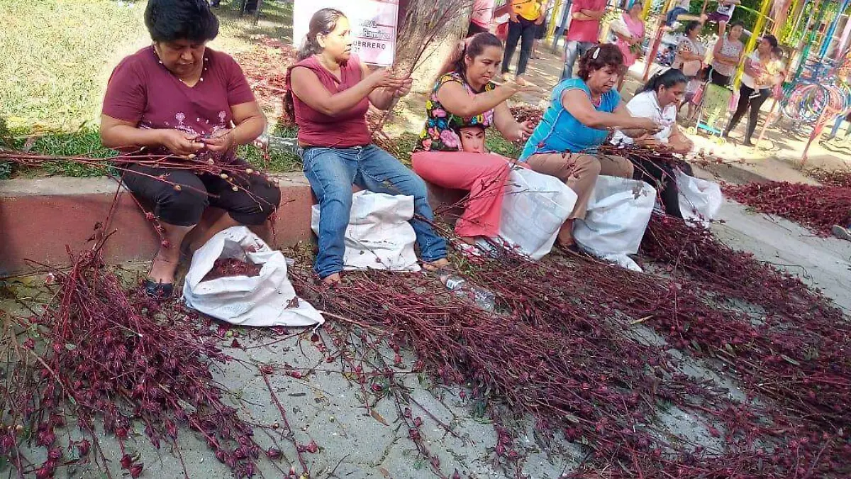 24e572d5-f72f-4ba3-a874-467d8731bf68