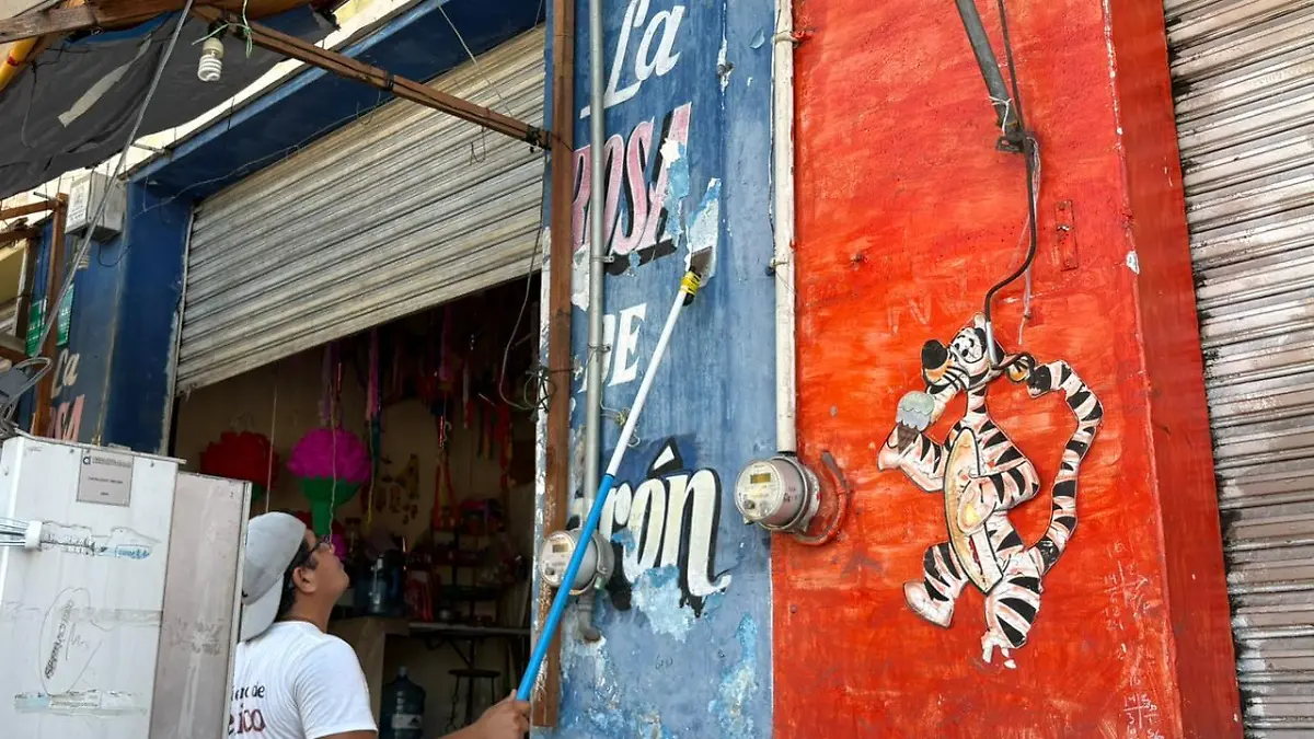 Pinta - Colonias - ACA