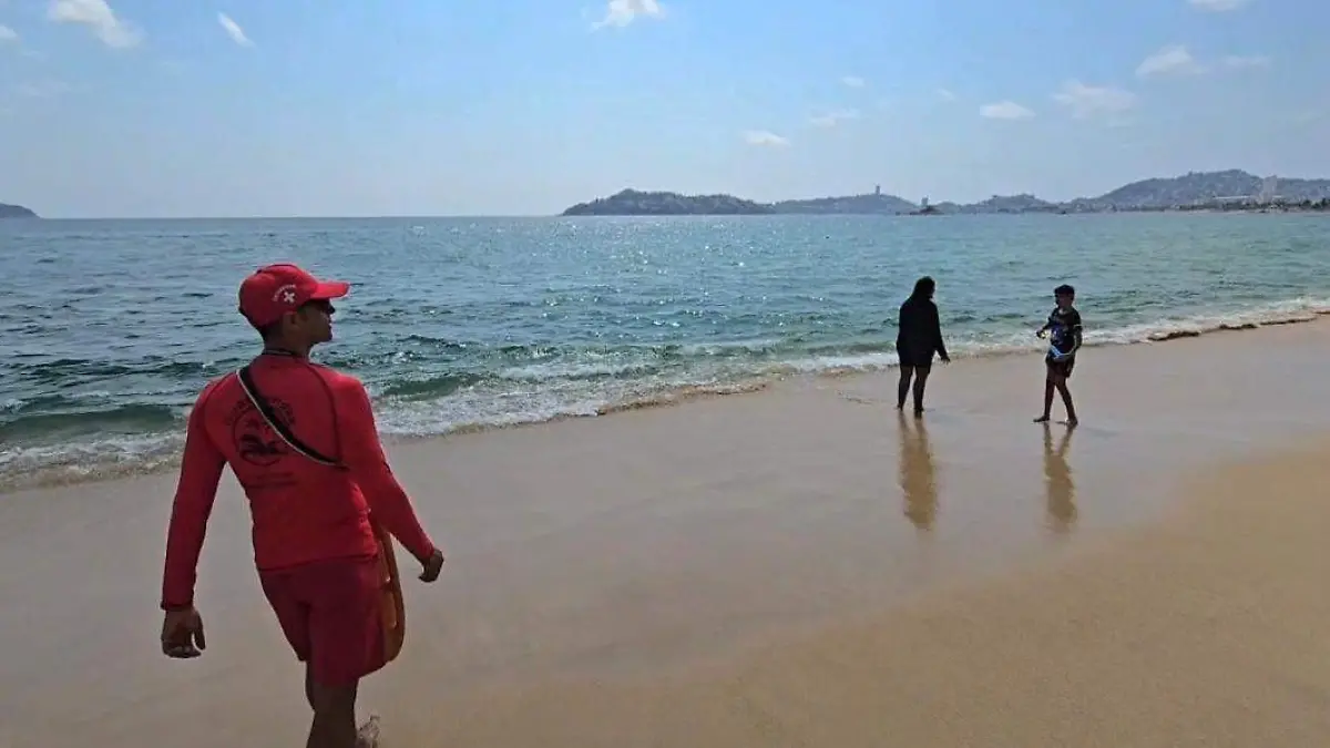 WhatsApp Image 2026-02-18 at 3.03.54 PM (1)