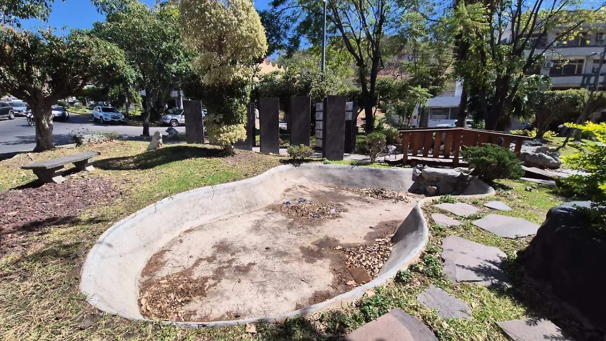 WhatsApp Image 2026-02-19 at 10.12.07 AM (2)