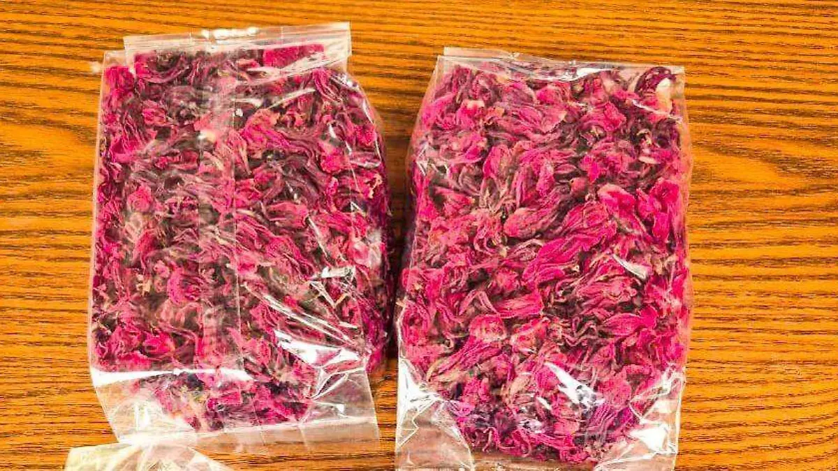 Jamaica - Flor - GRO