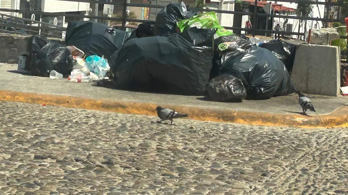 WhatsApp Image 2026-02-21 at 12.37.15 PM