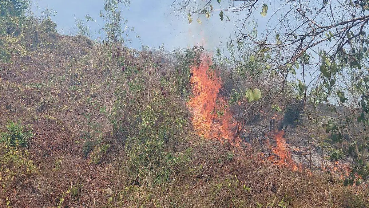 IMG-20260221-WA0068(1)