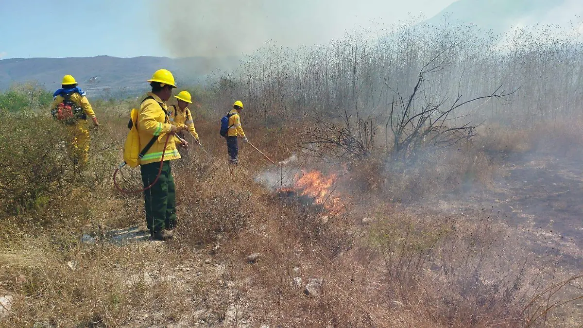 WhatsApp Image 2026-02-21 at 2.44.43 PM (1)