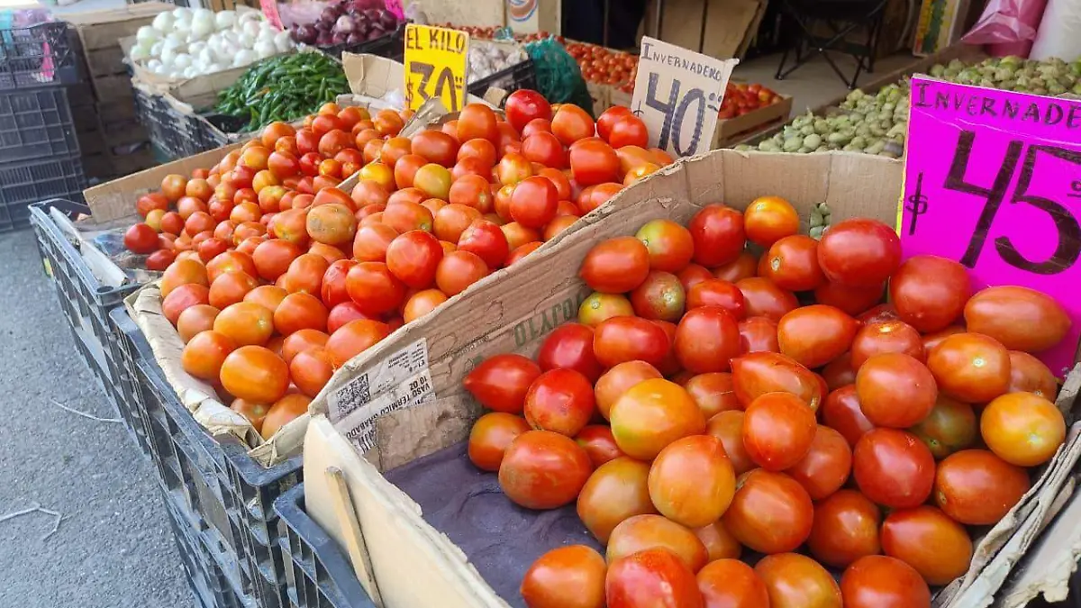 WhatsApp Image 2026-02-26 at 12.40.51 PM