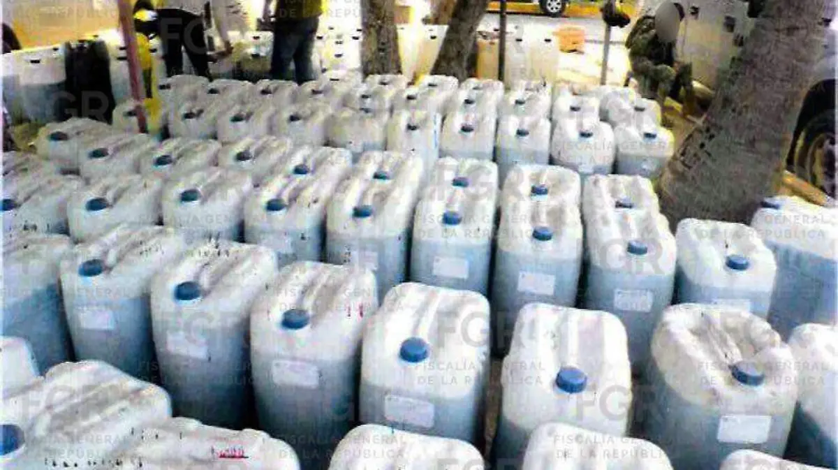 WhatsApp Image 2026-02-26 at 4.04.40 PM (1)