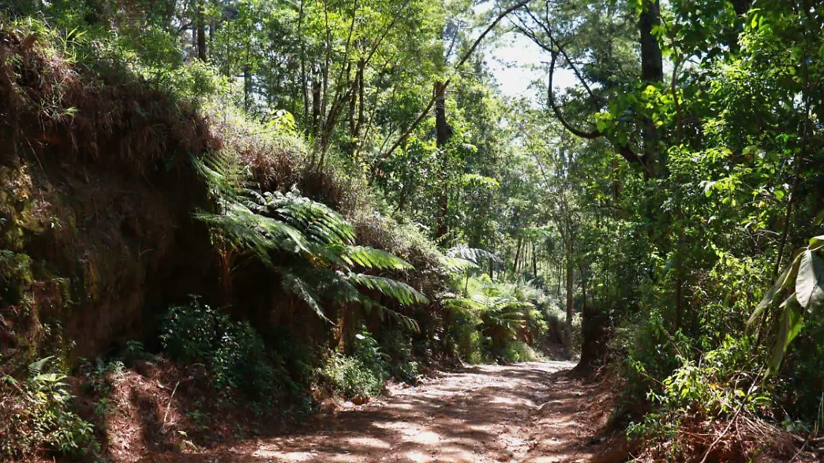 WhatsApp Image 2026-03-01 at 1.37.39 PM (4)