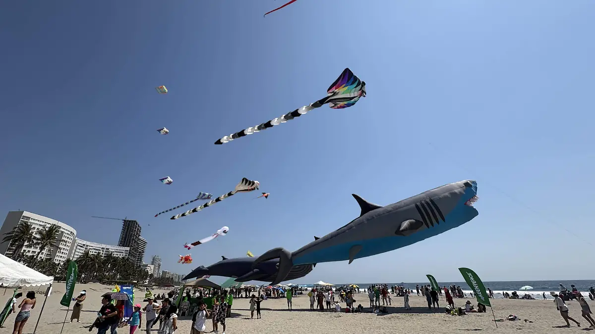 Festival - Papalote - ACA