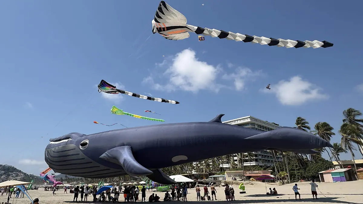 Océanos - Papalotes - ACA