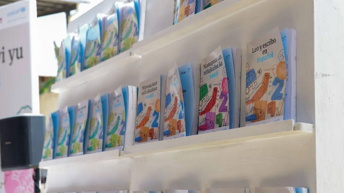 Libros - Lenguas - GRO