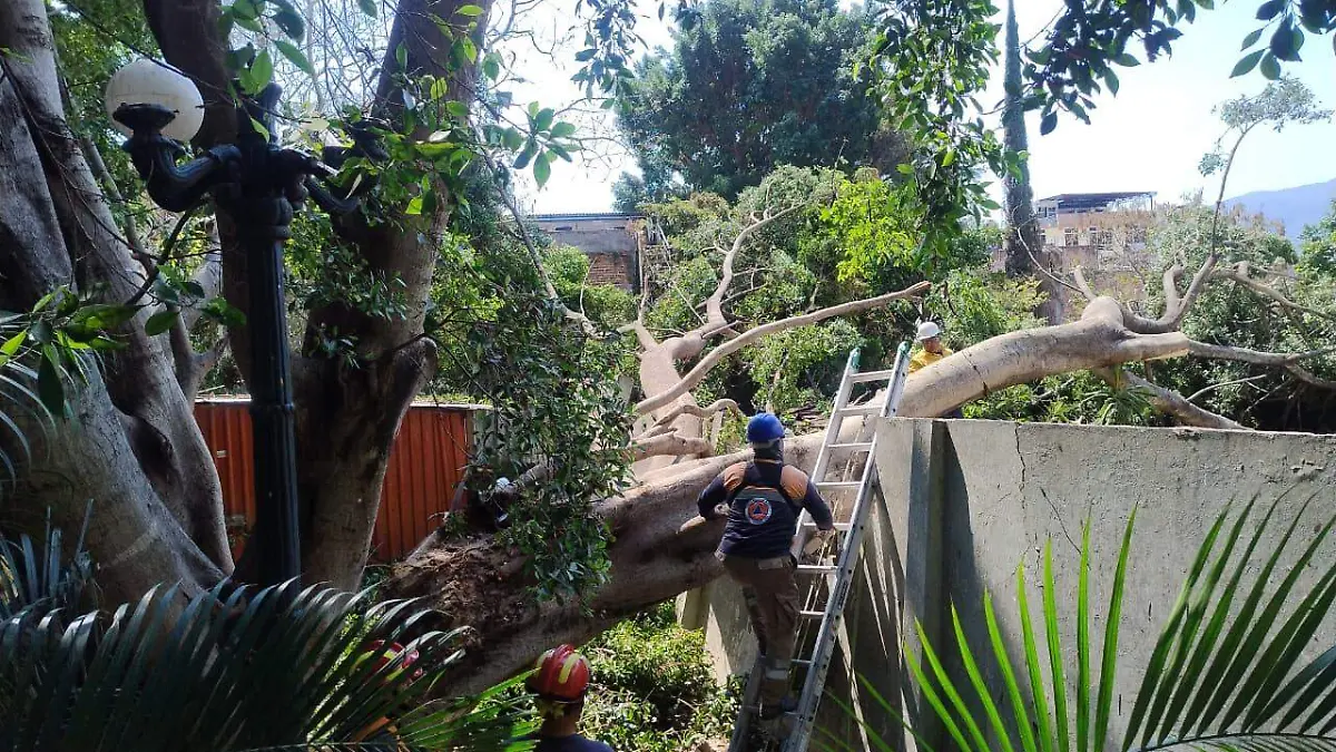 WhatsApp Image 2026-03-05 at 1.07.57 PM