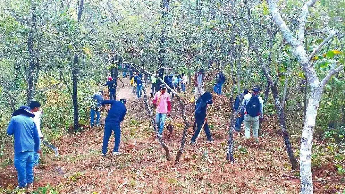 WhatsApp Image 2026-03-05 at 6.16.19 PM (3)