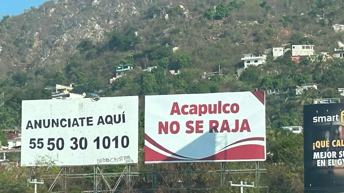 WhatsApp Image 2026-03-07 at 2.39.23 PM