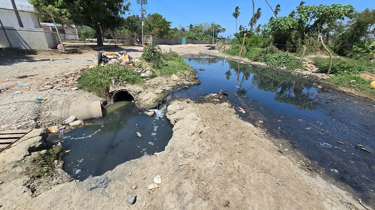 WhatsApp Image 2026-03-09 at 2.05.01 PM (1)